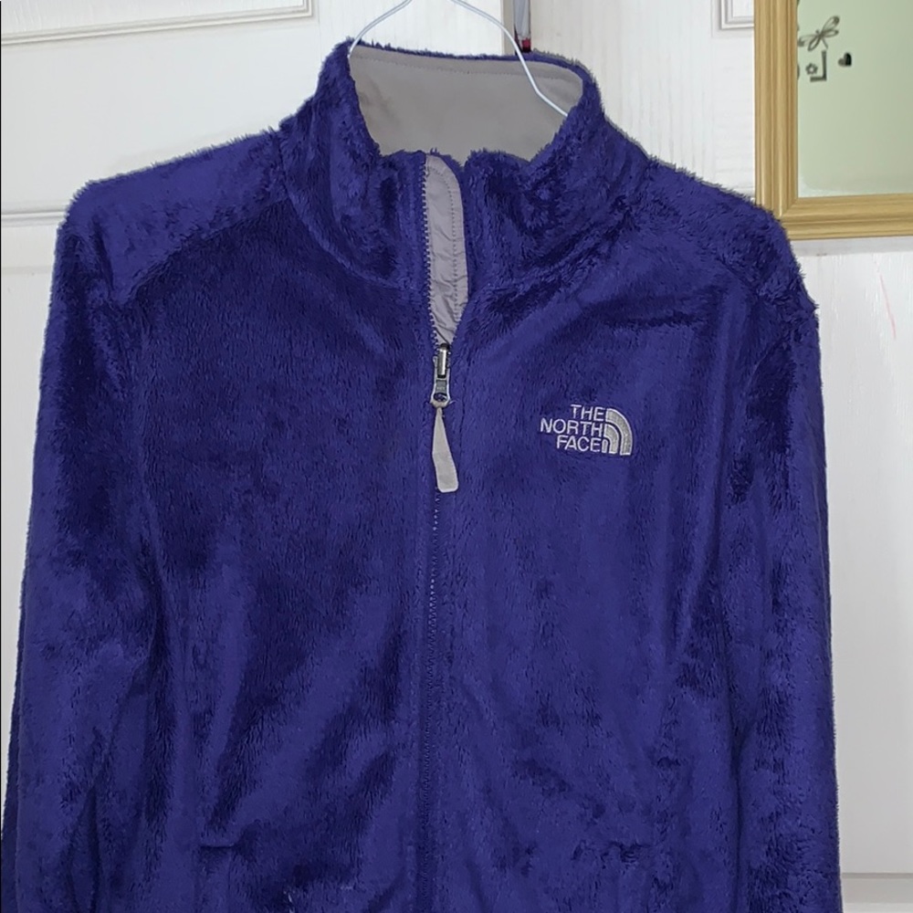 Grape purple northface